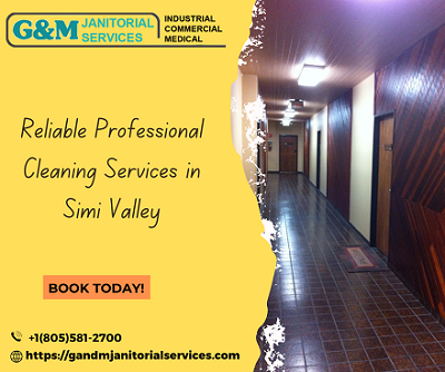 cleaning services