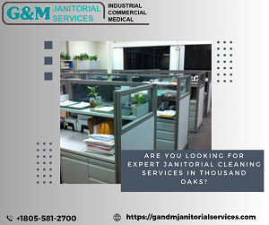 janitorial cleaning service